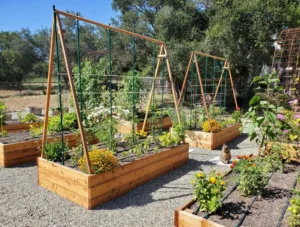 fiberglass garden stakes flexible