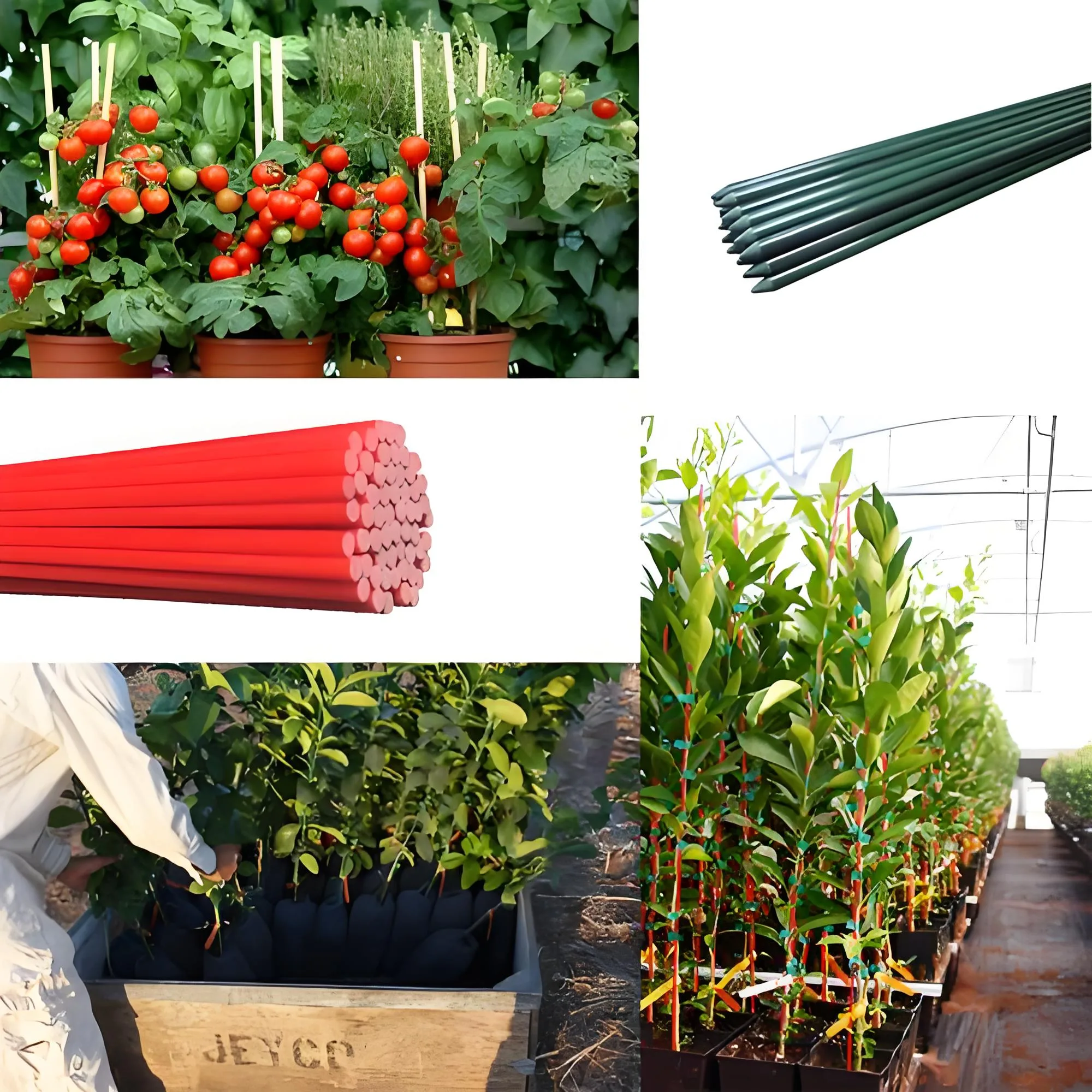 fibreglass garden stakes fibreglass garden stakes