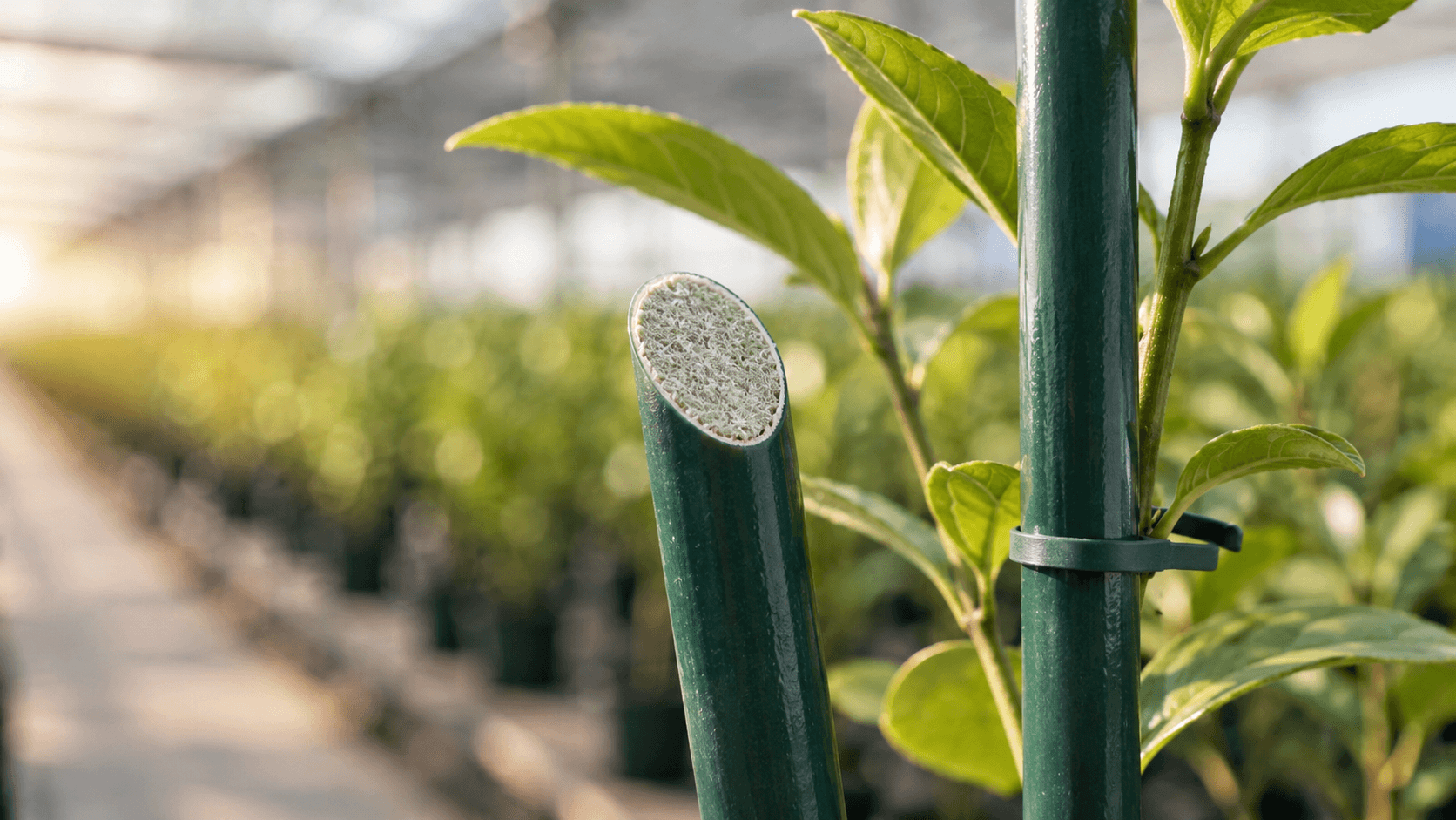 Polyester Veil on Fiberglass Stakes: What It Does and What to Verify