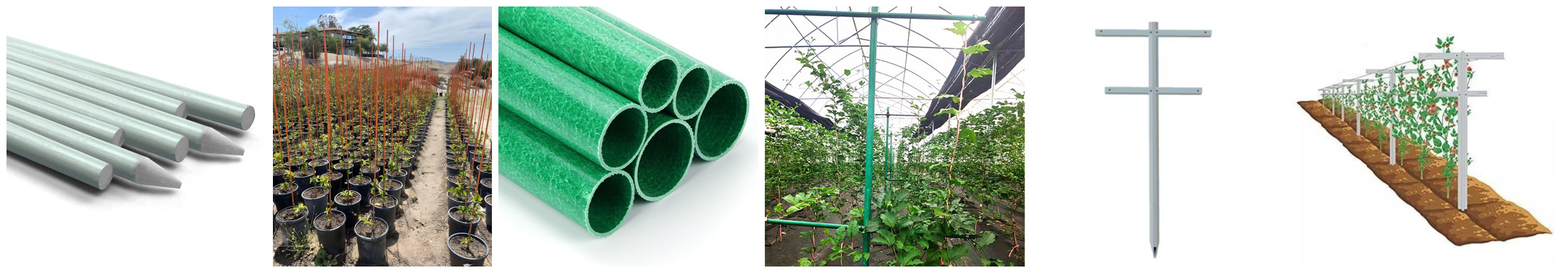 Fiberglass Plant Stakes for Nurseries, Orchards & Commercial Growers